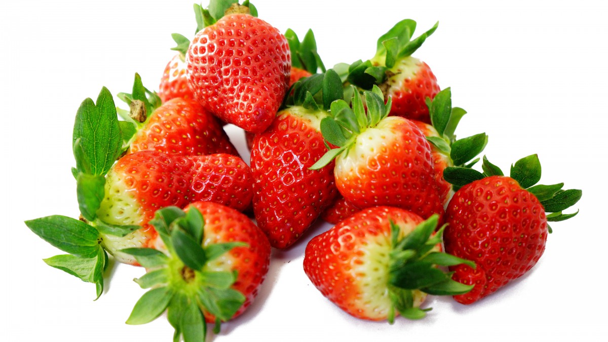 ɿڵĲݮͼƬ