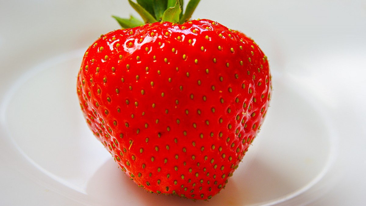 ɿڵĲݮͼƬ