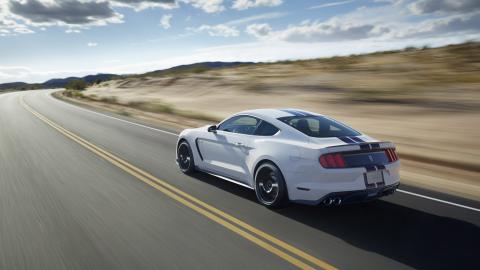 Shelby GT350ͼƬ