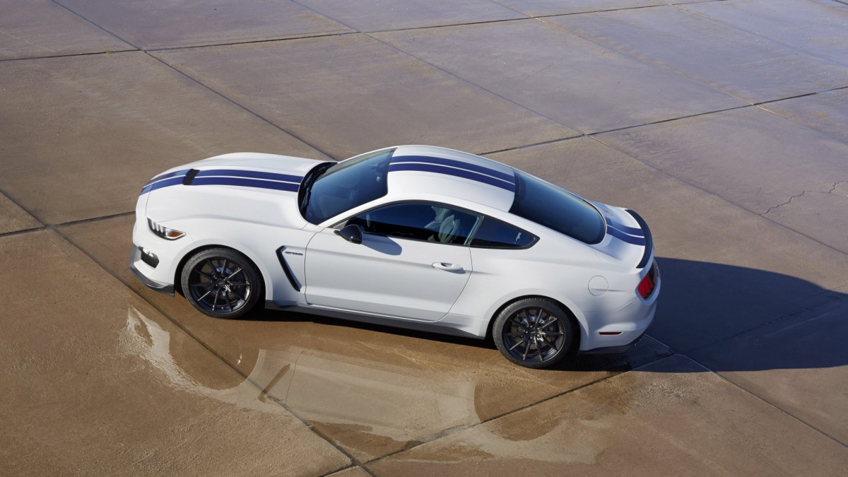 Shelby GT350ͼƬ