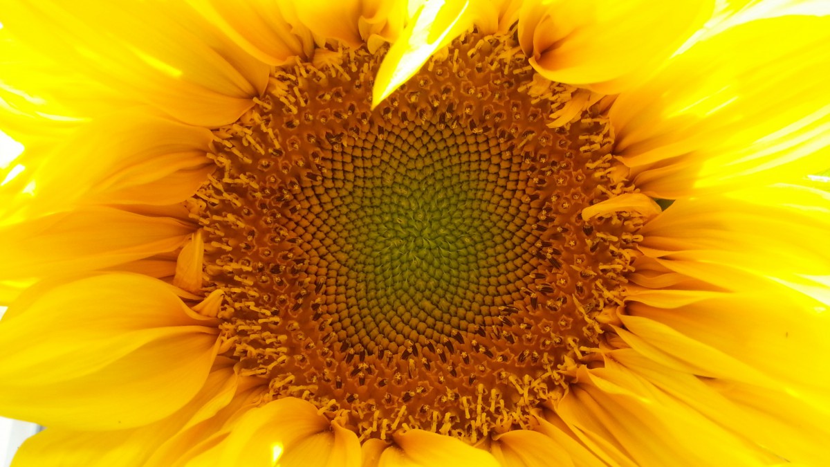5kֱտͼƬ