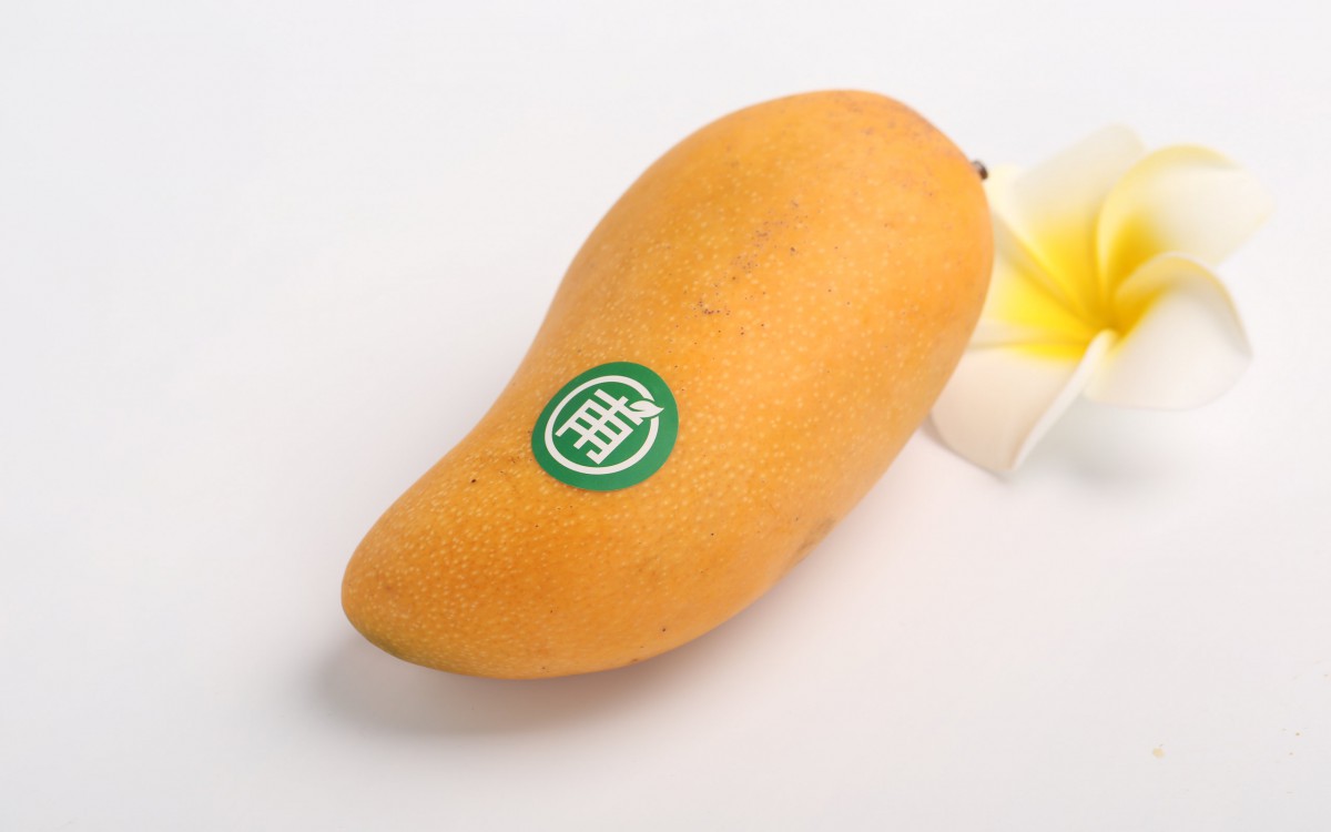 âͼƬ