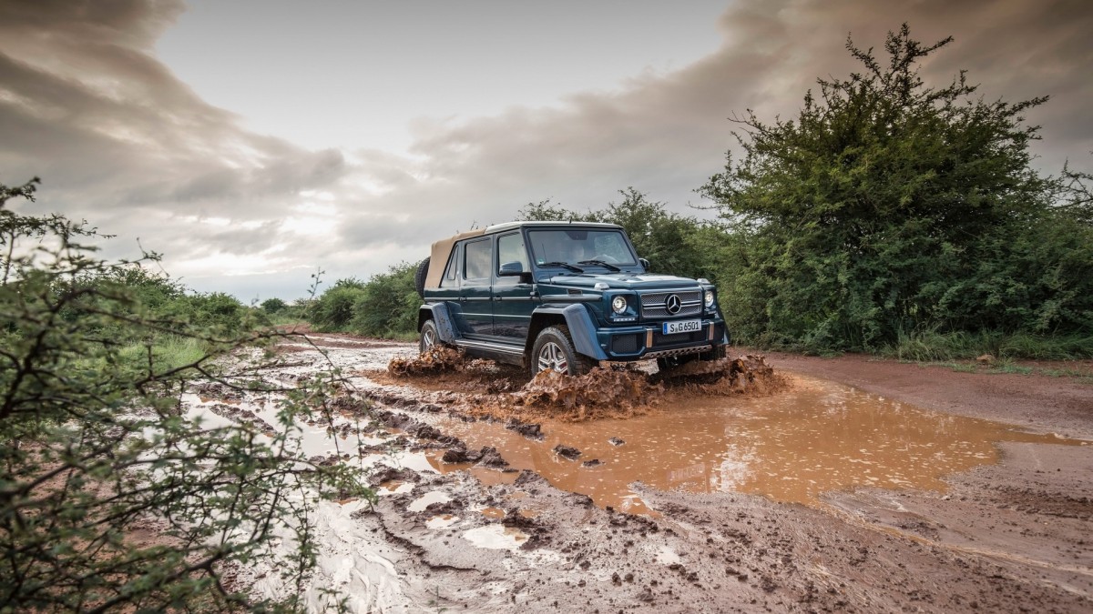 2018÷˹ͺG650 Landaulet