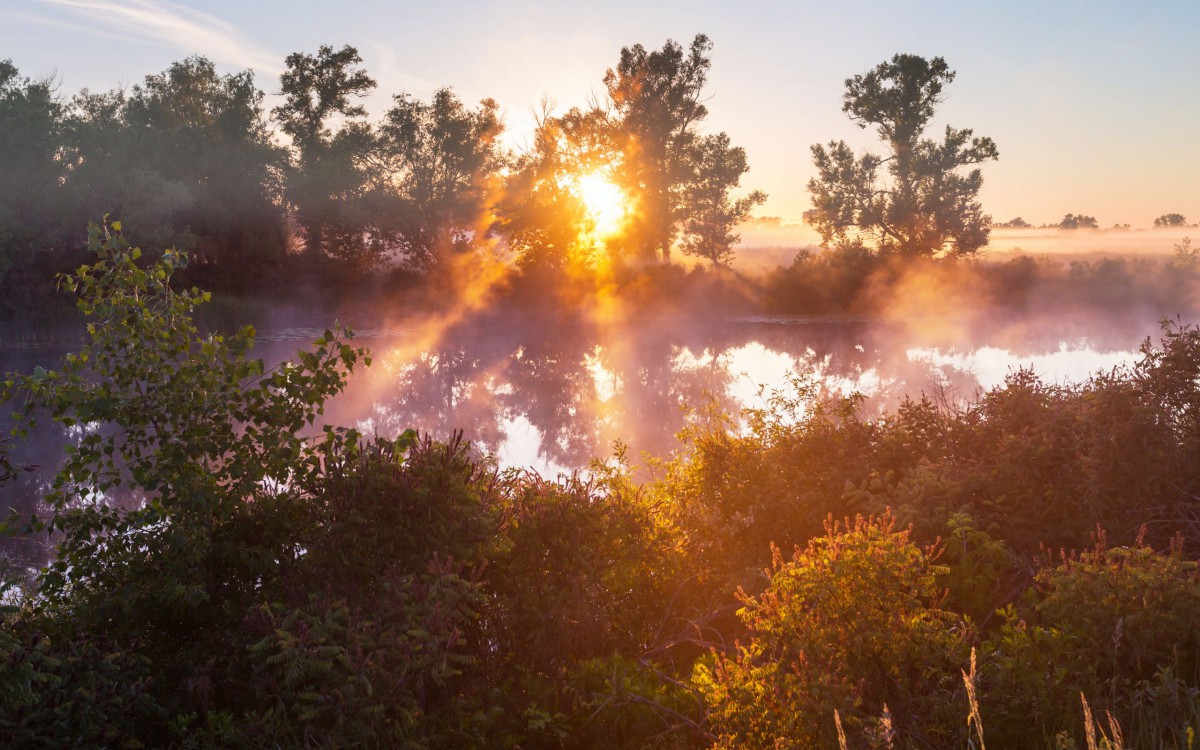 糿ճͼƬֽ