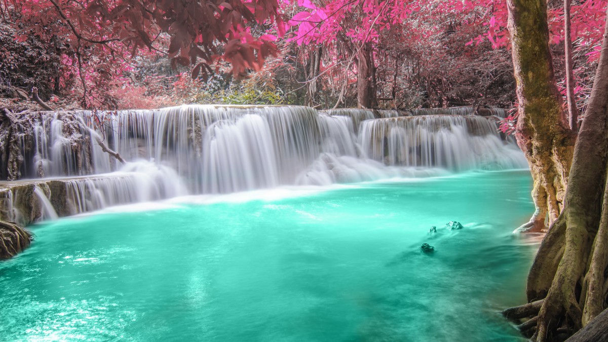 羰ͼƬѡֽȫ