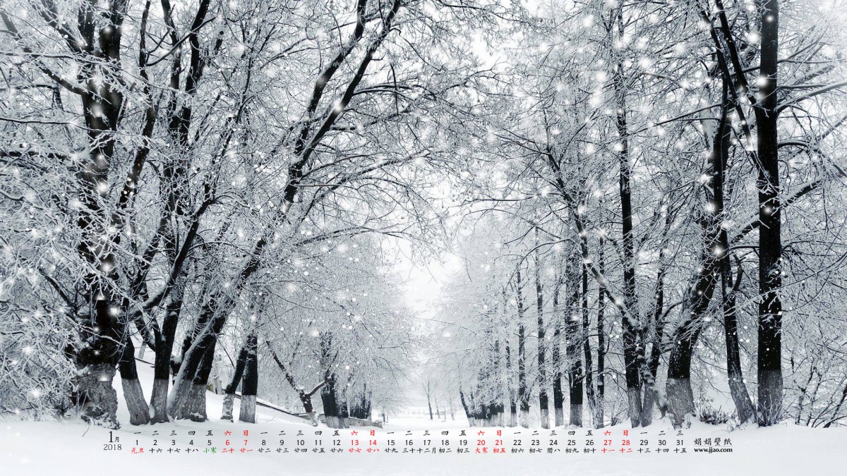20181ֽ