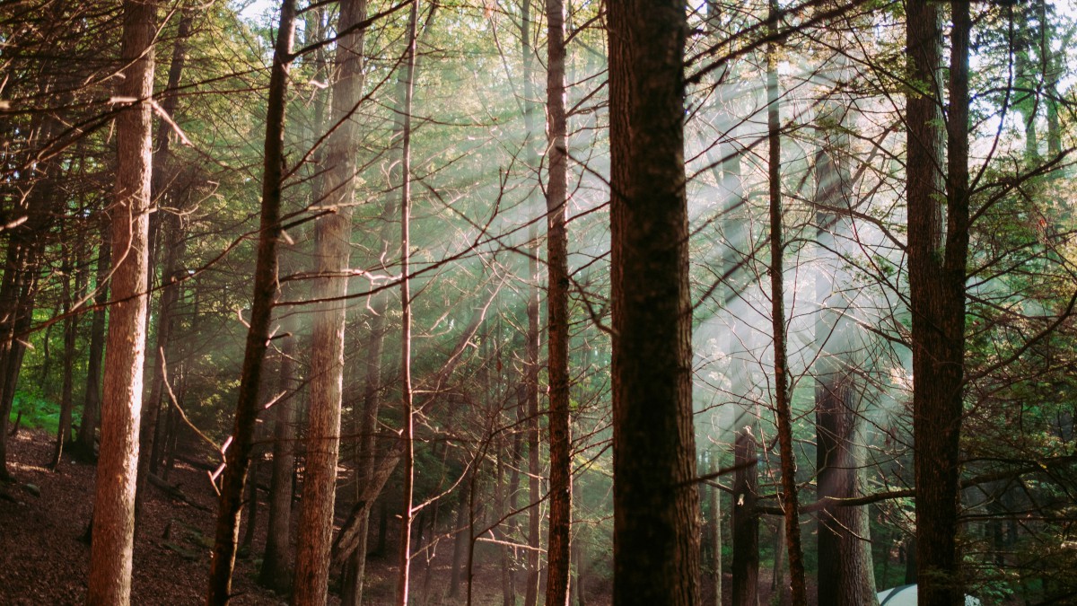 峿ͼƬֽ