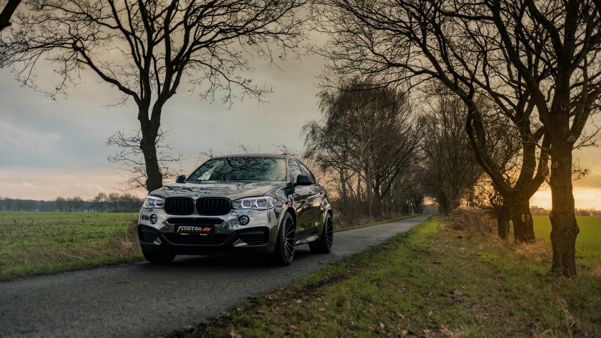 2018 fostla.de BMW  X6 M50D F16