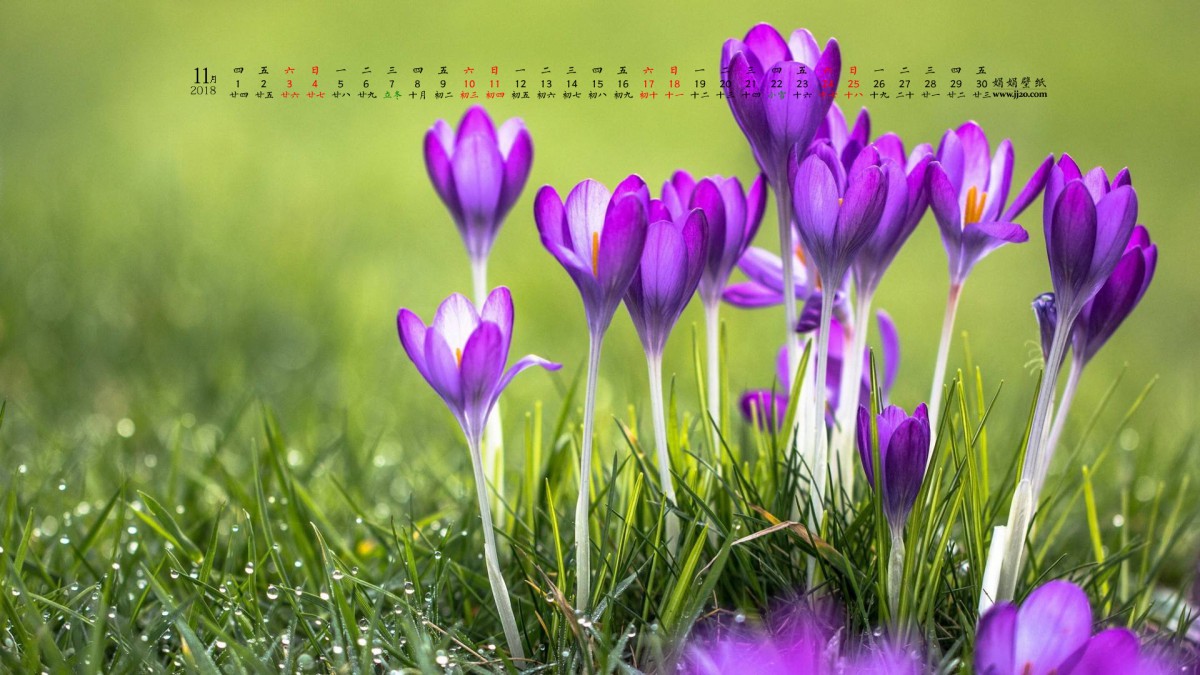 201811ֽ