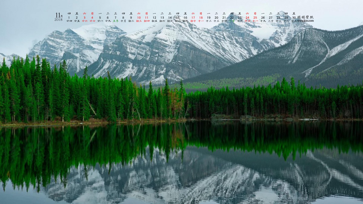201811ֽ
