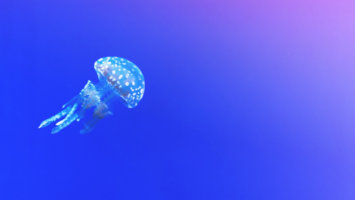 ˮĸͼƬ