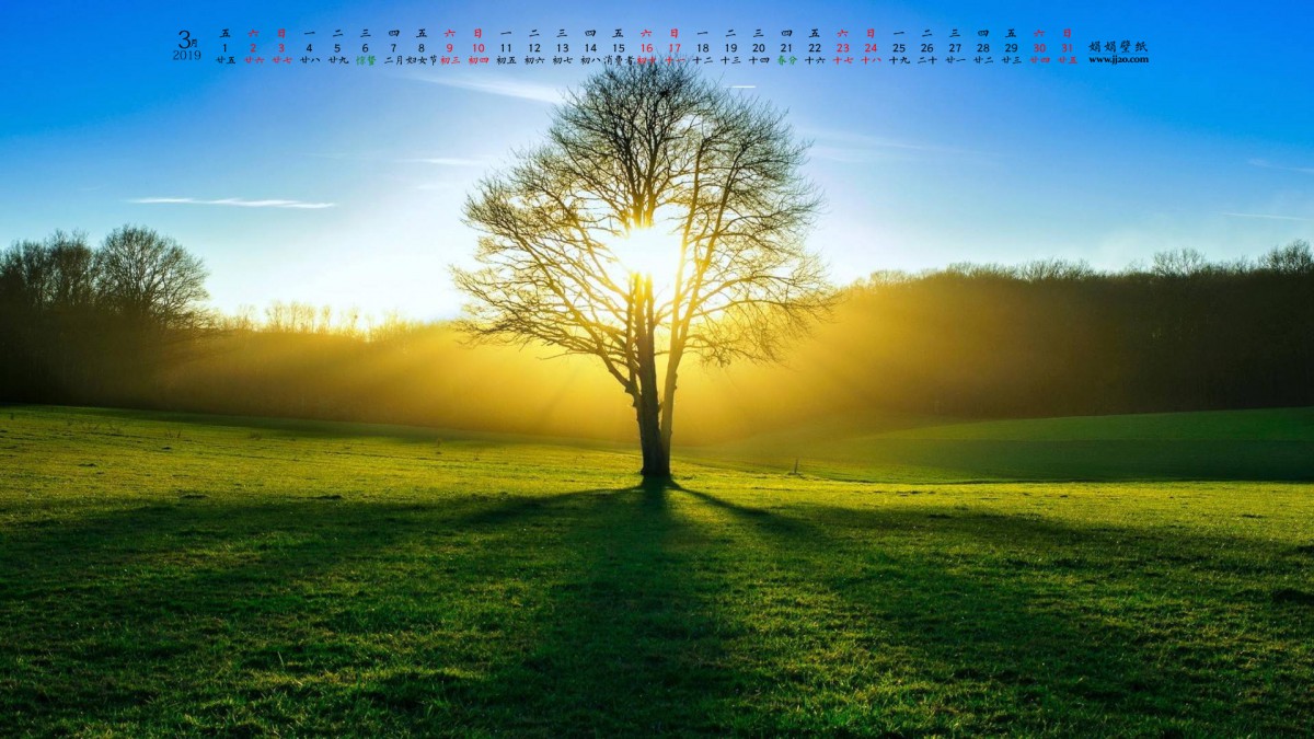 20193ֽ