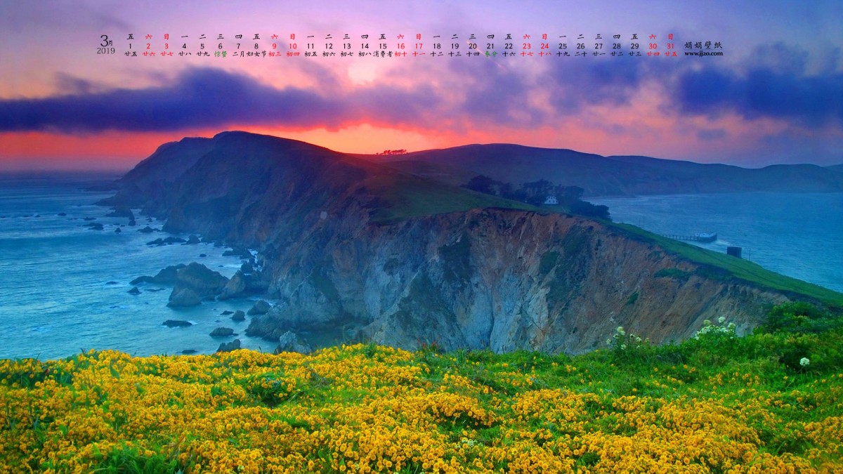 20193ֽ