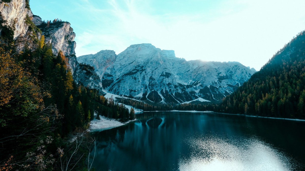 ľĺͼƬ