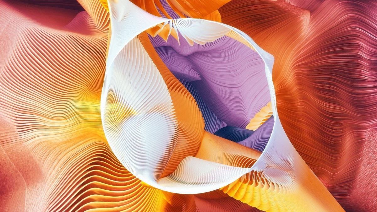 ʲεļͼαֽ
