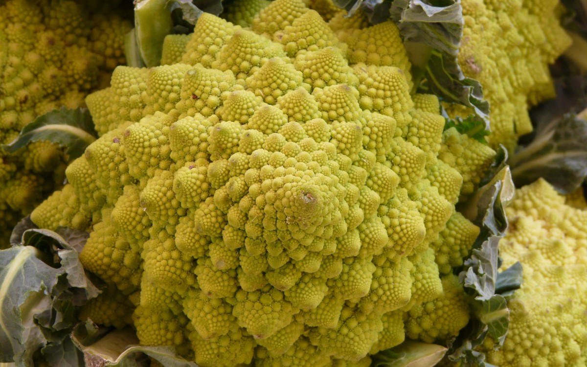 ˵ͼƬ
