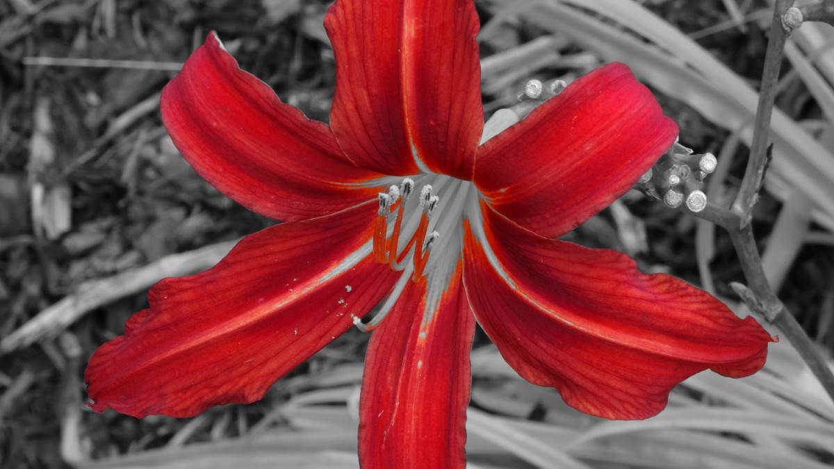 ٺϻͼƬƷִȫ