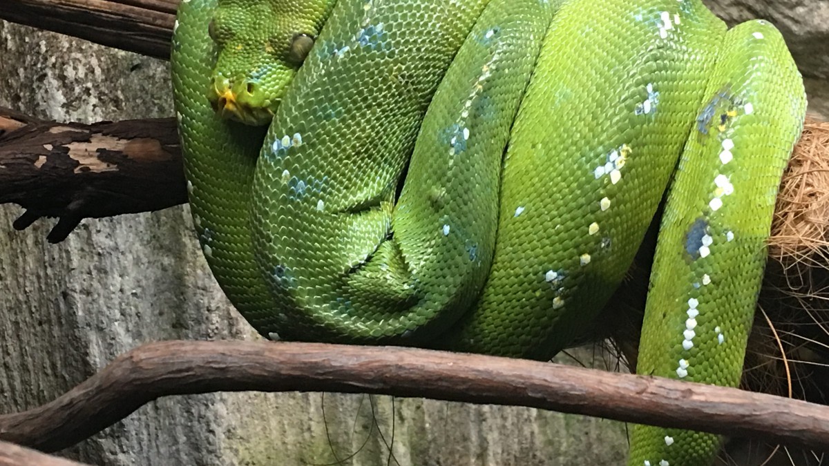 ͼƬȫͼ