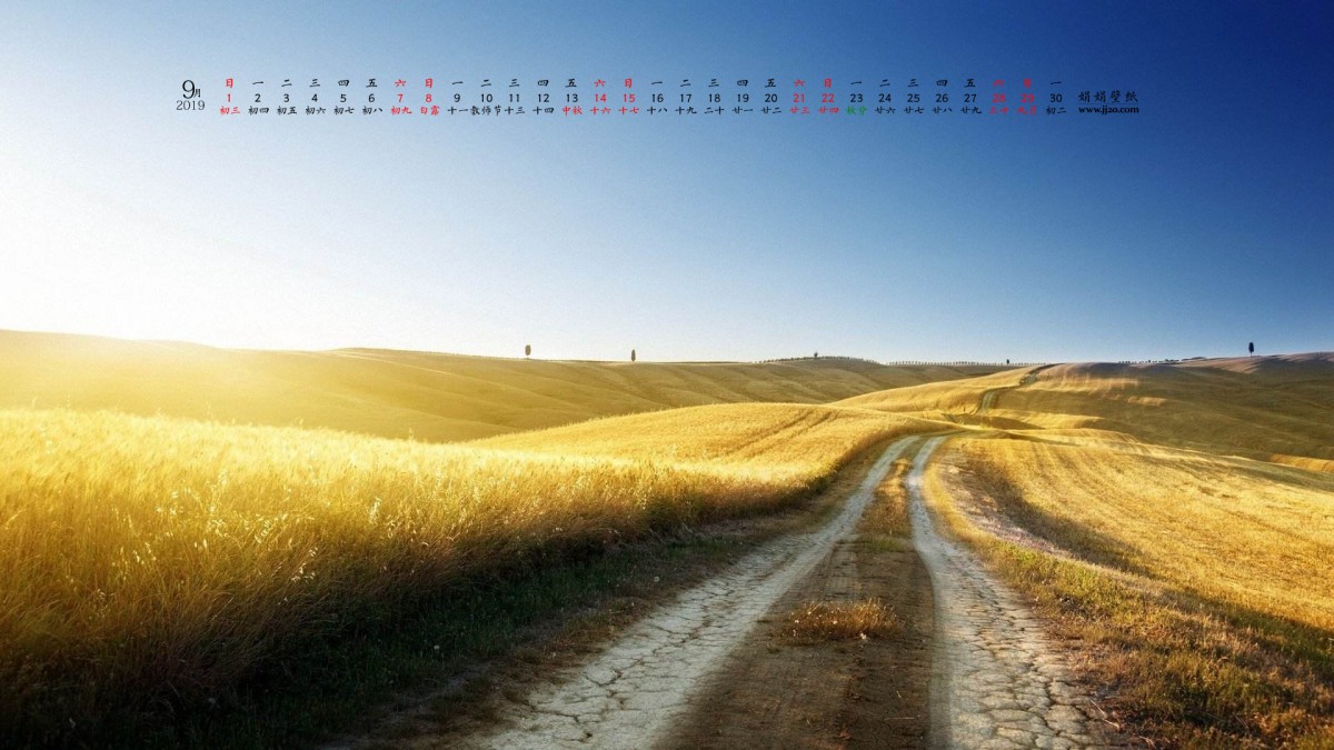 20199ֽ