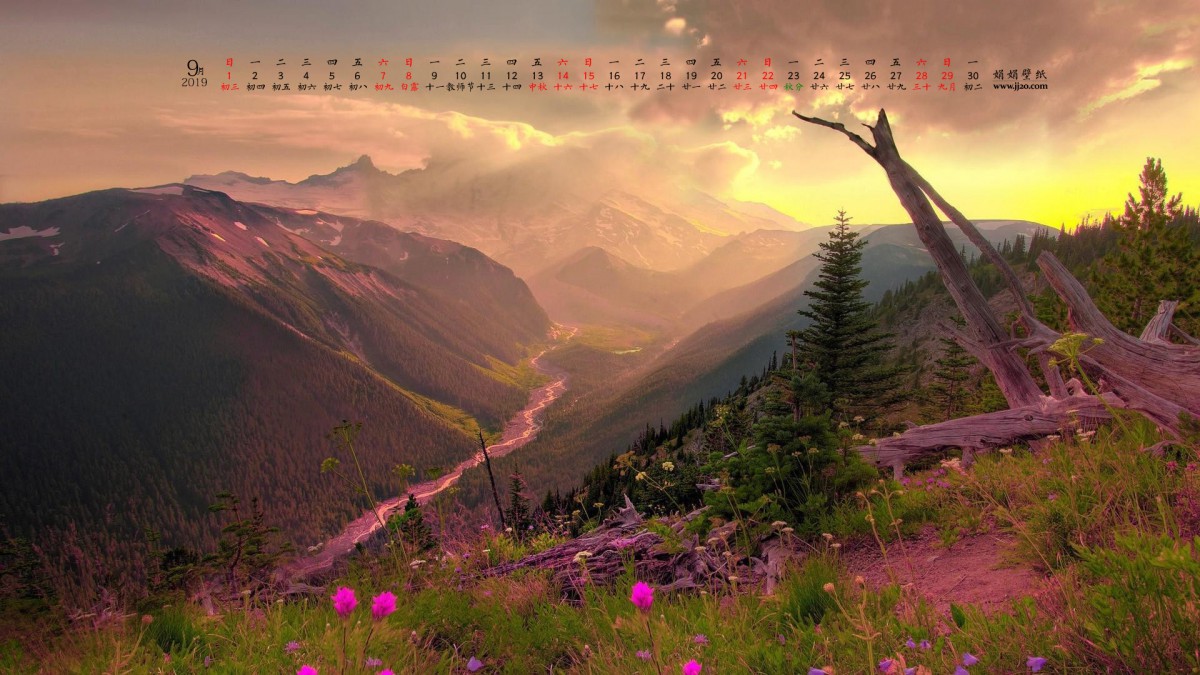 20199ֽ