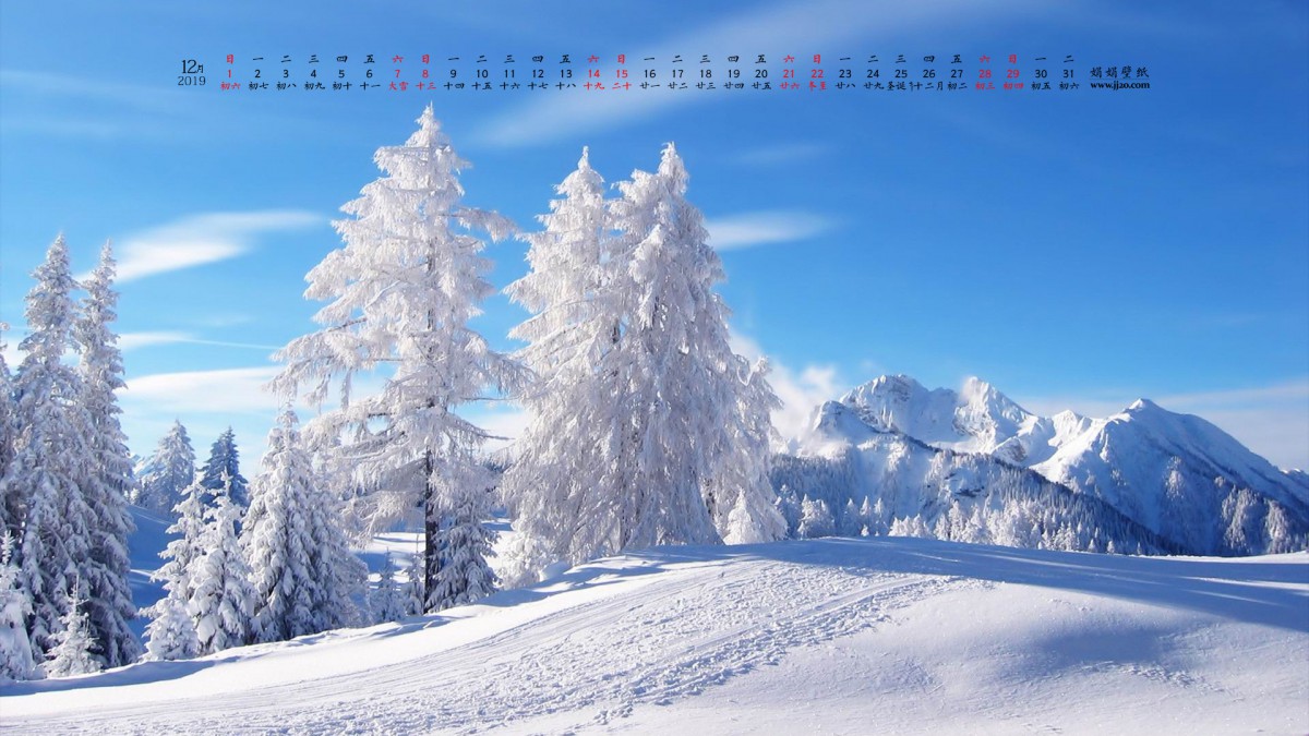  201912ֽ