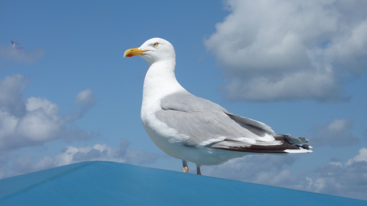 庣ŸͼƬȫ