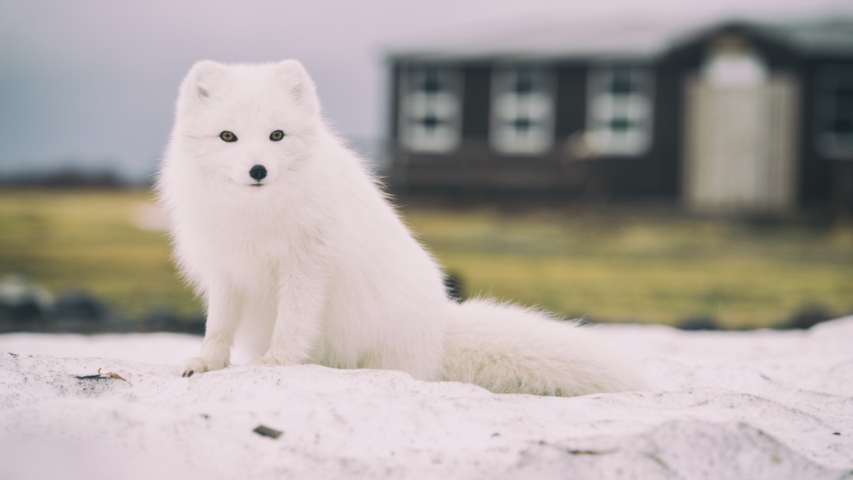 山ͼƬ