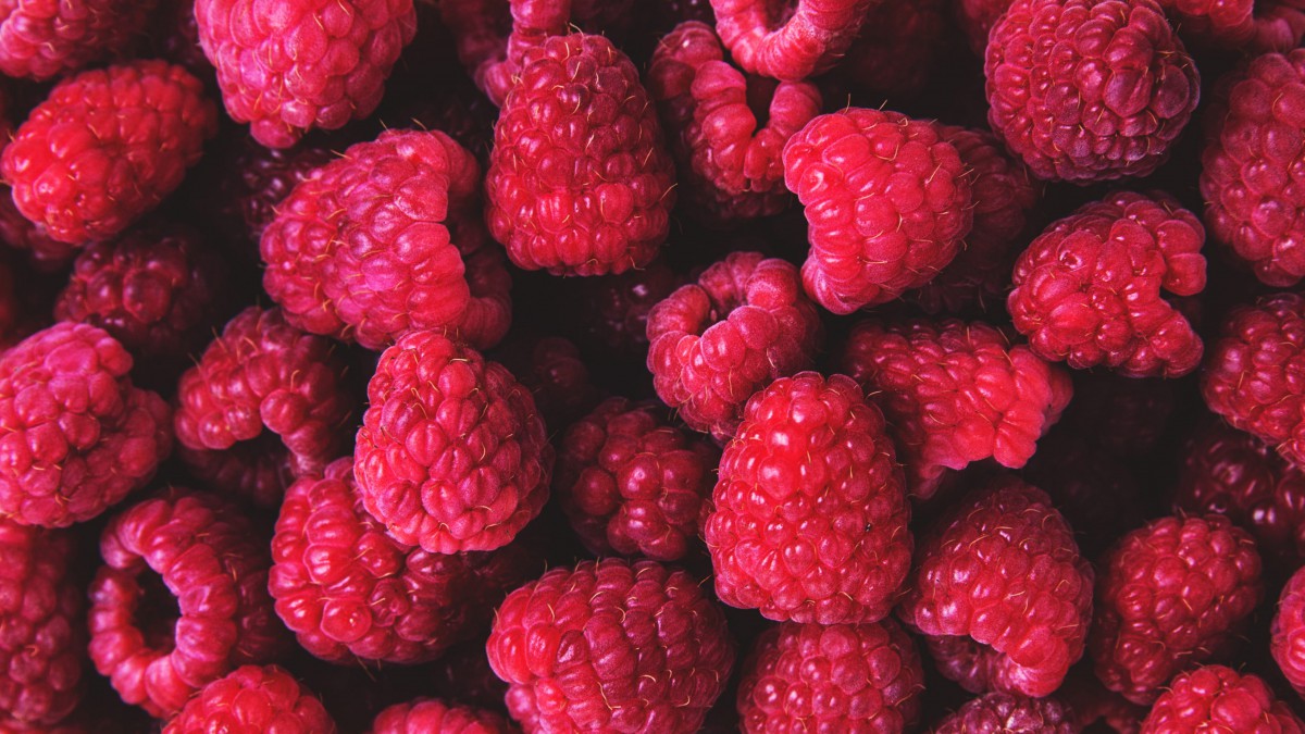 ˵ݮͼƬȫ