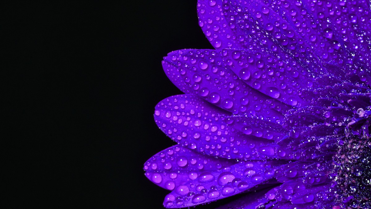 ϵ¶ͼƬ