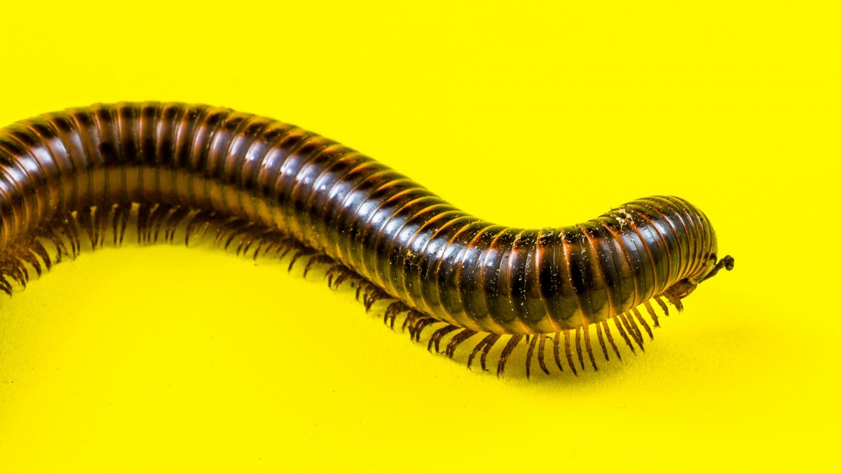 ½ͼƬ