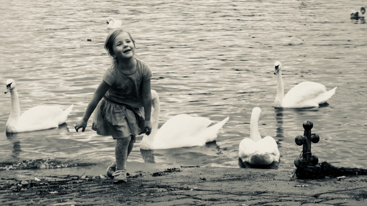 ϷˮˮͼƬ