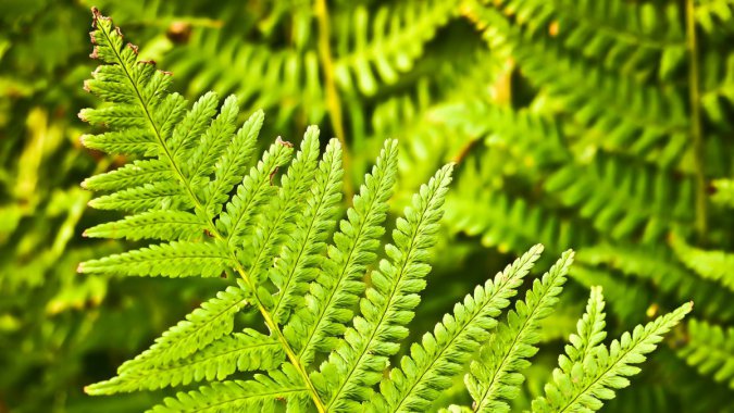 ԭʼ֣ާֲֲҶͼƬ