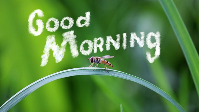 ��ɫ���ݣ����棬��д��ͷ�����Ϻ�ͼƬ