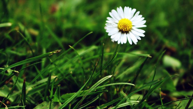 ɫջɫݵ飬죬ֲͼƬ