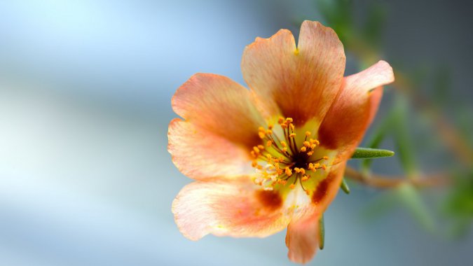 ���ϻ�Ҭ�ˣ�2022��ֲ����壬��ƬͼƬ