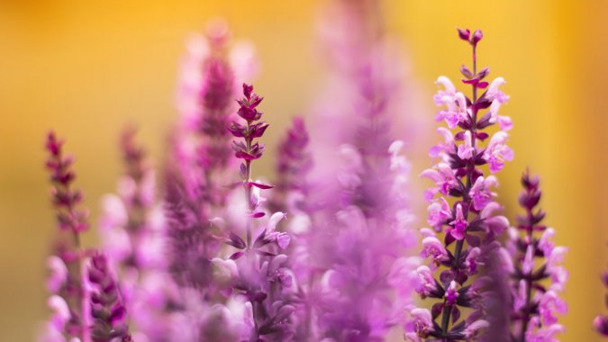 ޹²ݣдͷ20224KͼƬ