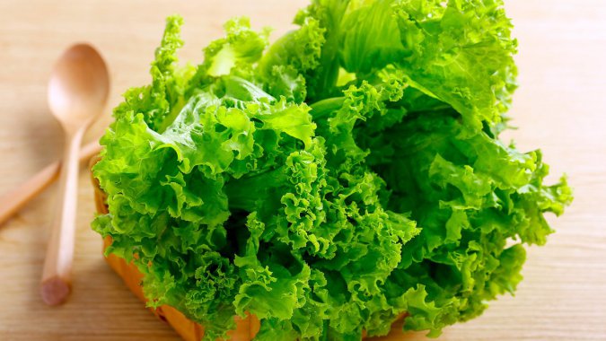 ʣɫ߲ˣҶӣ壬ƬͼƬ