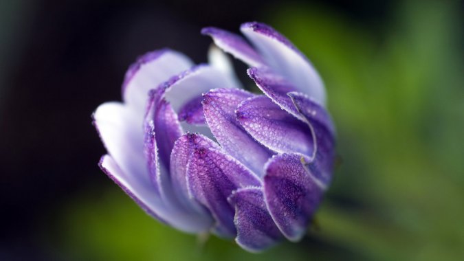 ɫֲ꣬4KɫɢͼƬ