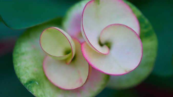 �������������꣬��Ӱ��4K������ͼƬ