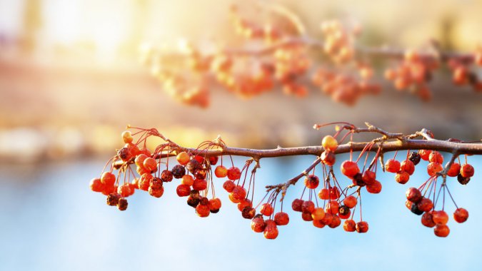 죬˼춹죬⣬дͷͼƬ