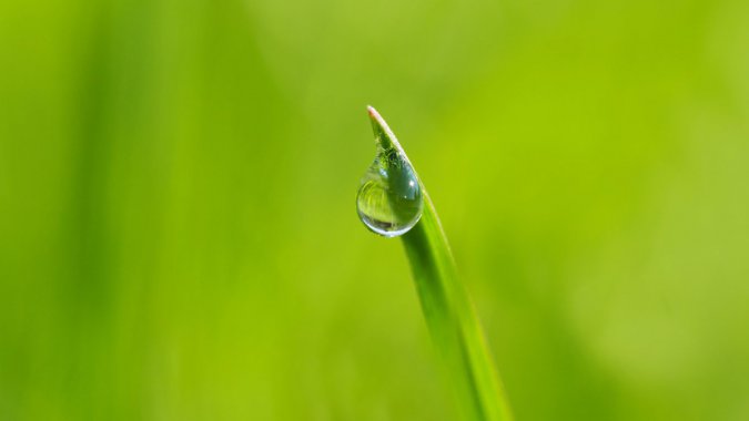 ���ϣ�ˮ���Σ��ݣ�2022��4K�����壬��ƬͼƬ