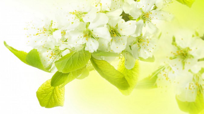 �������ӻ�ͼƬ