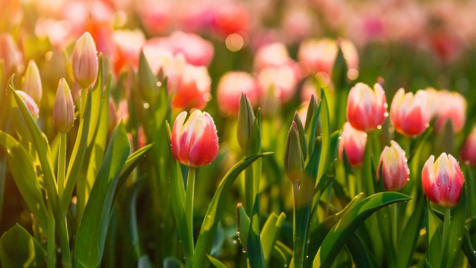 �����������ͼƬ