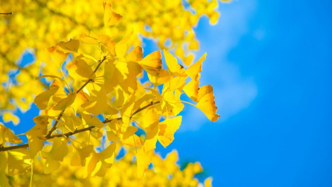 죬ɫҶ2022Ȼ壬ƬͼƬ