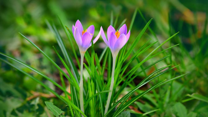 Ļ䣬ɫķ컨4KƬͼƬ