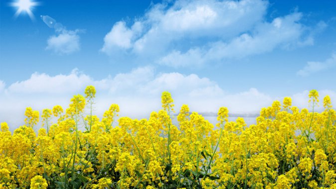 죬ɫͲˣ죬ɫƲͼƬ