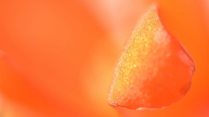 ɫĻ꣬д2022Ȼ壬ƬͼƬ