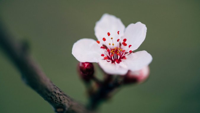 ��ɫ�һ�ͼƬ