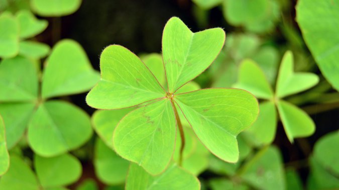 ɫֲҶݣ΢࣬дͷͼƬ