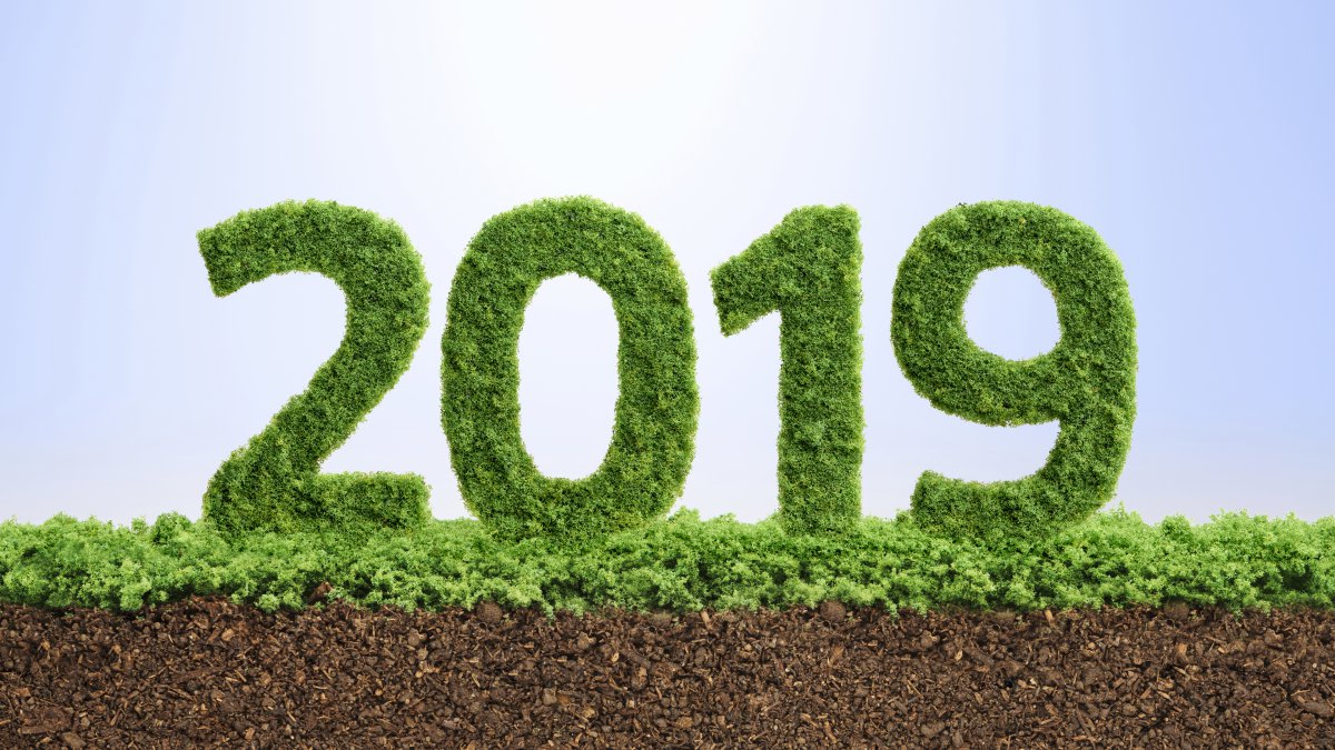 ɫ2019괴4kͼƬ